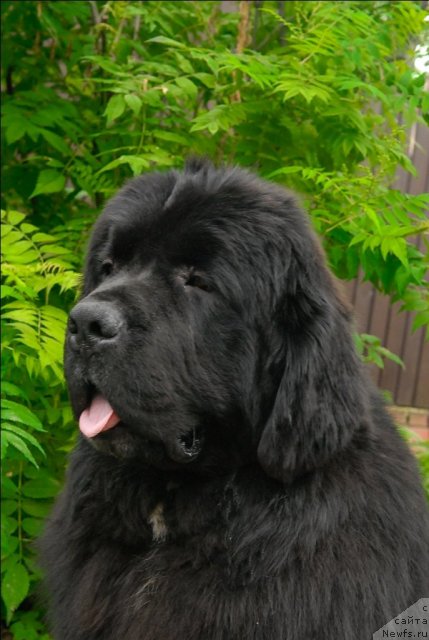 Фотография № 71526