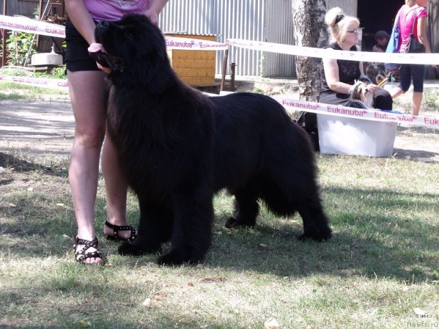 Фотография № 71541