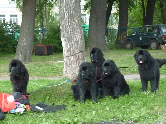 Фотография № 71553