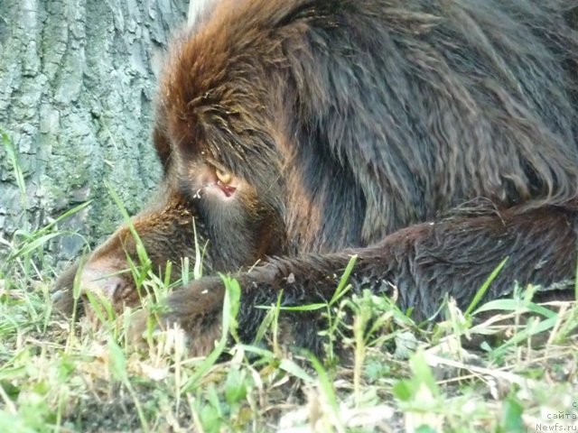 Фотография № 71562