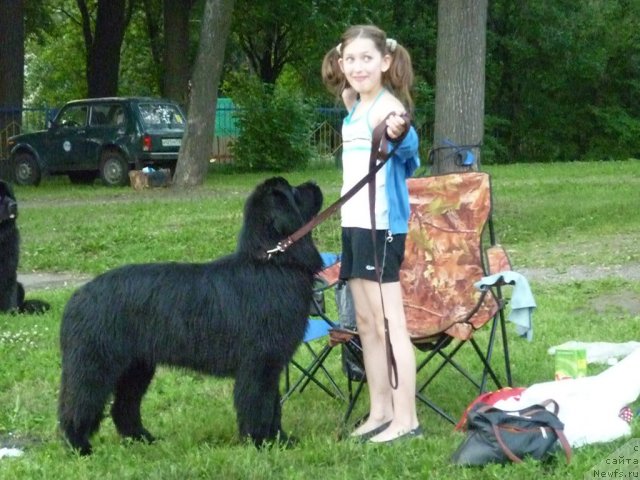 Фотография № 71565