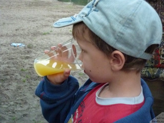 Фотография № 71568