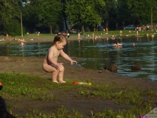 Фотография № 71577