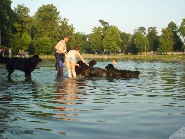 Фотография № 71583