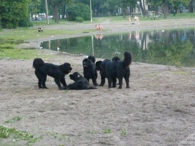 Фотография № 71585