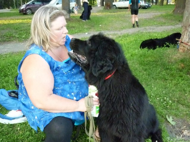 Фотография № 71587