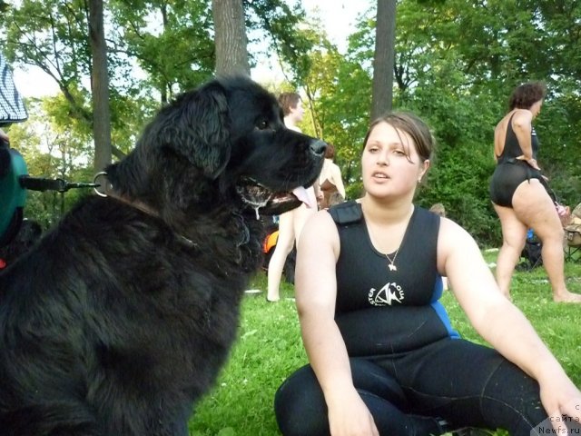 Фотография № 71606