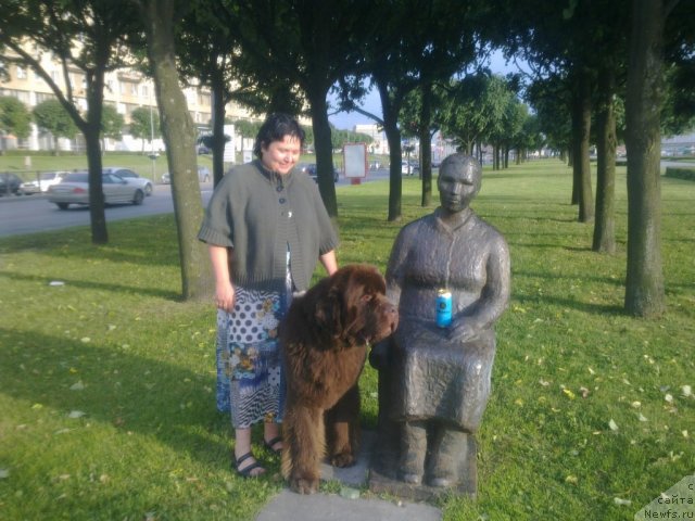 Фото: ньюфаундленд Aetna vom Riesrand (Aetna vom Riesrand), Varvara Ryibalova (Варвара Рыбалова)