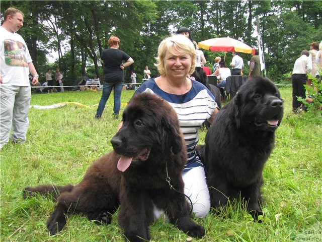 Фотография № 71627