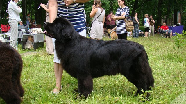 Фотография № 71642