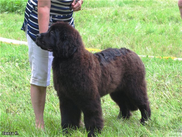 Фотография № 71643