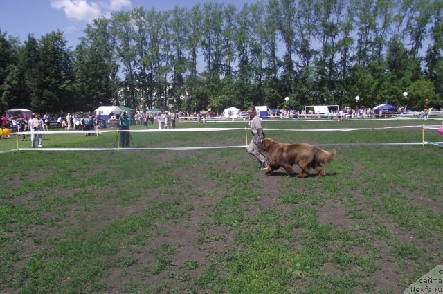 Фотография № 71665