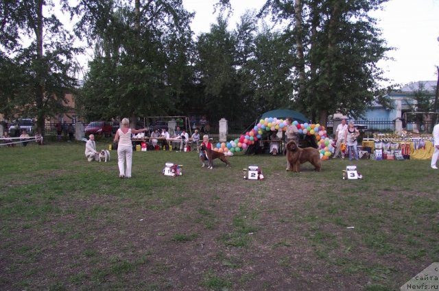 Фотография № 71668