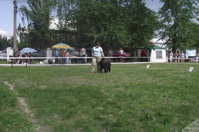 Фотография № 71675