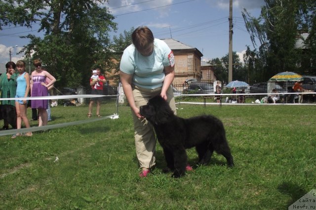 Фотография № 71676