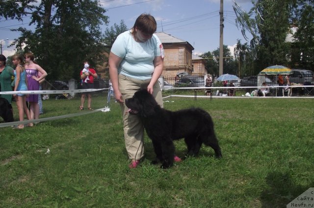 Фотография № 71677