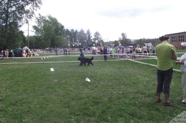 Фотография № 71678