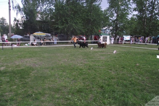 Фотография № 71682