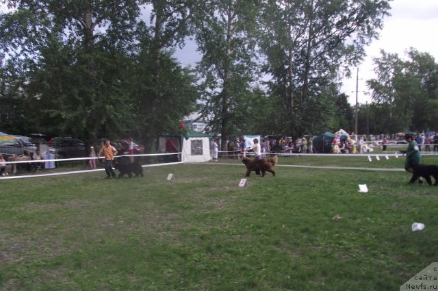 Фотография № 71683