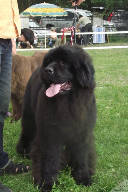 Фотография № 71685