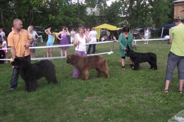 Фотография № 71688