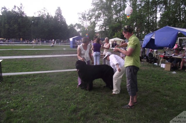 Фотография № 71690