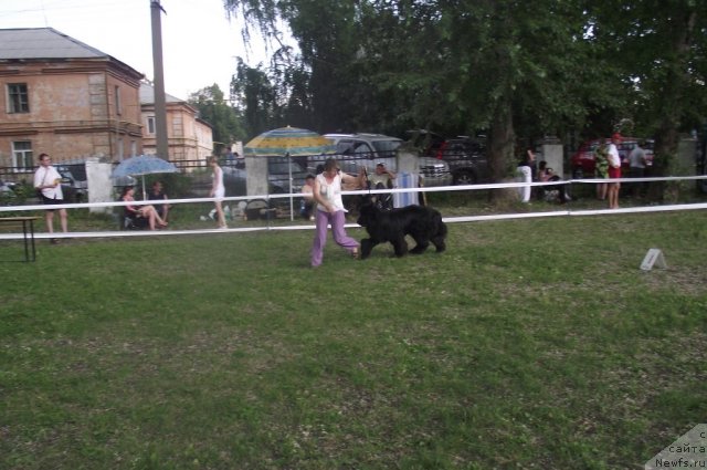 Фотография № 71691