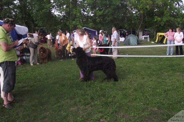 Фотография № 71692