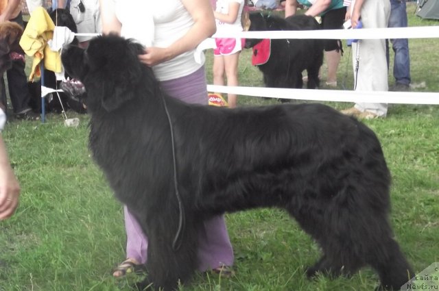 Фотография № 71693