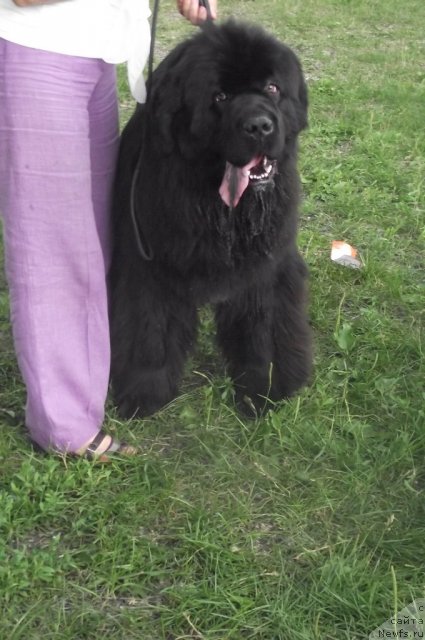 Фотография № 71694