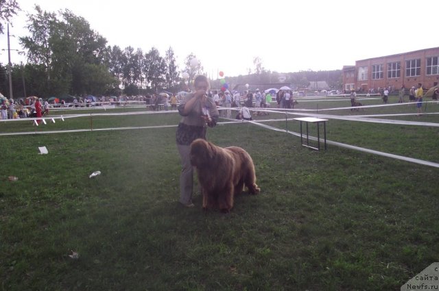 Фотография № 71698