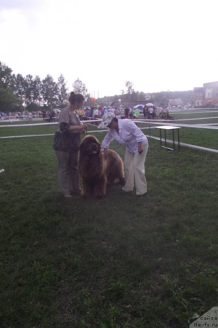 Фотография № 71699