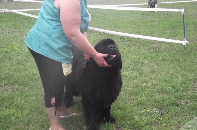 Фотография № 71702