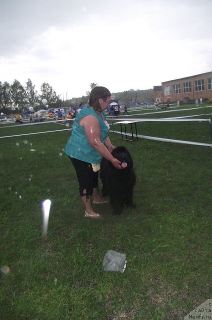 Фотография № 71703