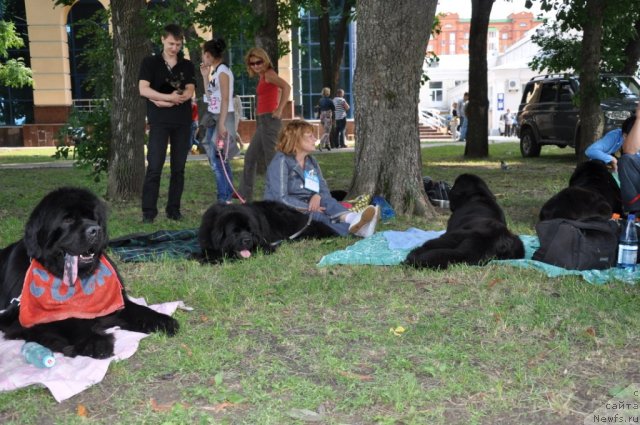 Фотография № 71711