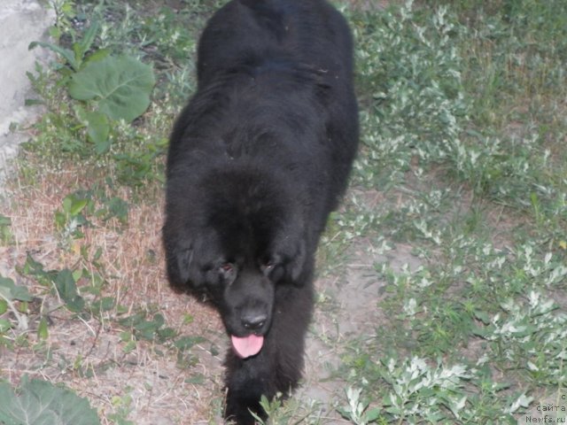 Фотография № 71741