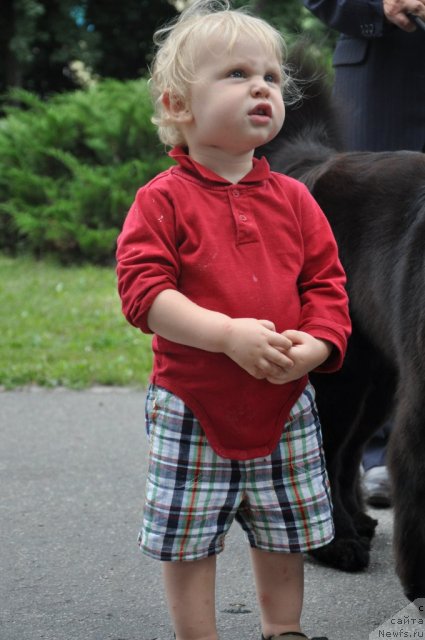 Фотография № 71774