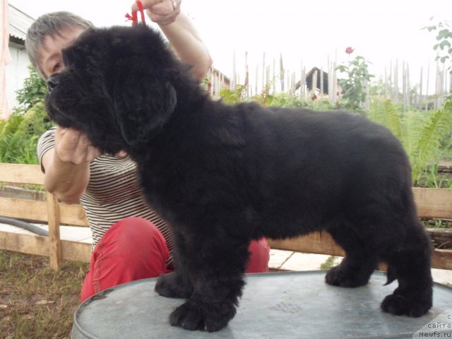 Фотография № 71792