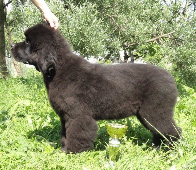 Фотография № 71839