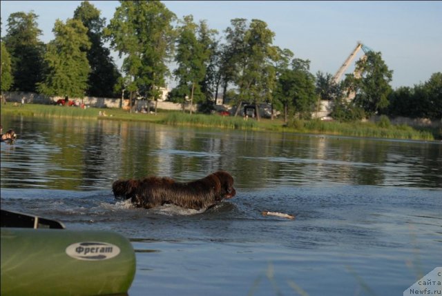 Фотография № 71861