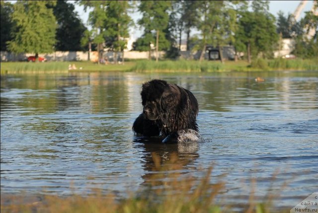 Фотография № 71874