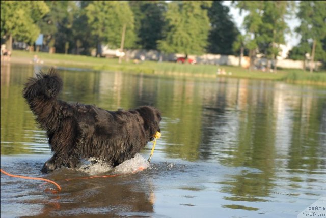 Фотография № 71875