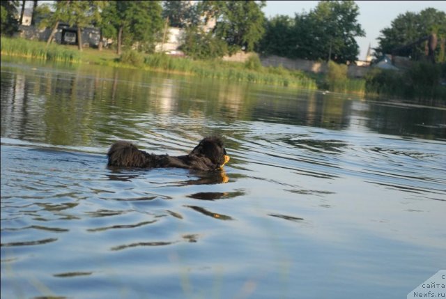 Фотография № 71877