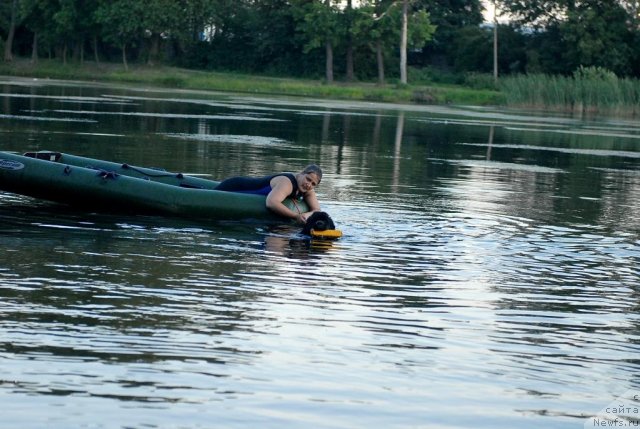 Фотография № 71898