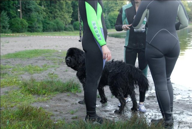 Фотография № 71900