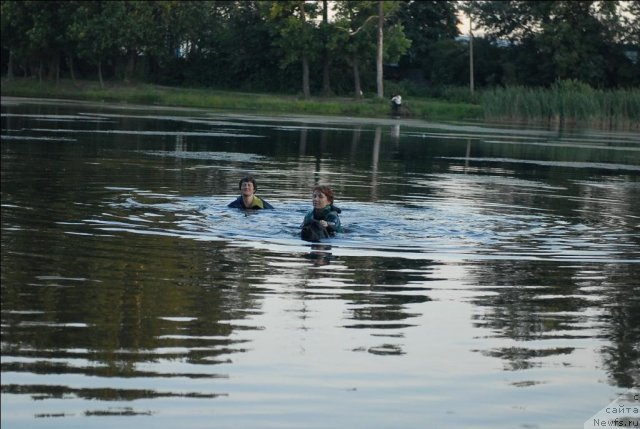 Фотография № 71904