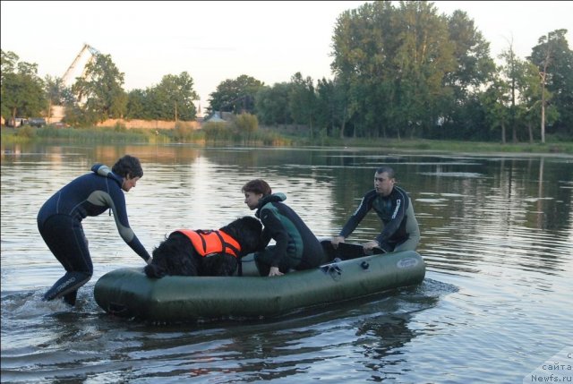 Фотография № 71911