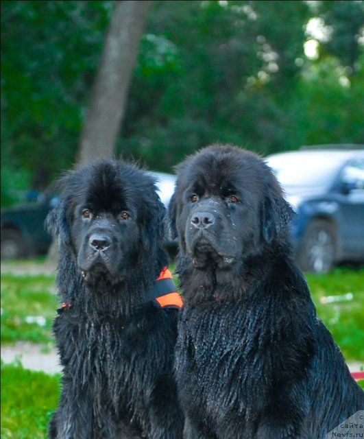 Фотография № 71913