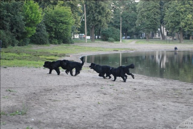 Фотография № 71916