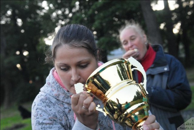 Фотография № 71921